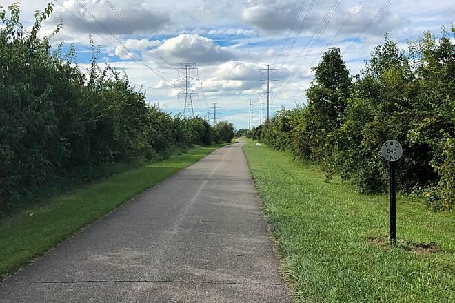 A paved path through green foliage, with power lines visible.