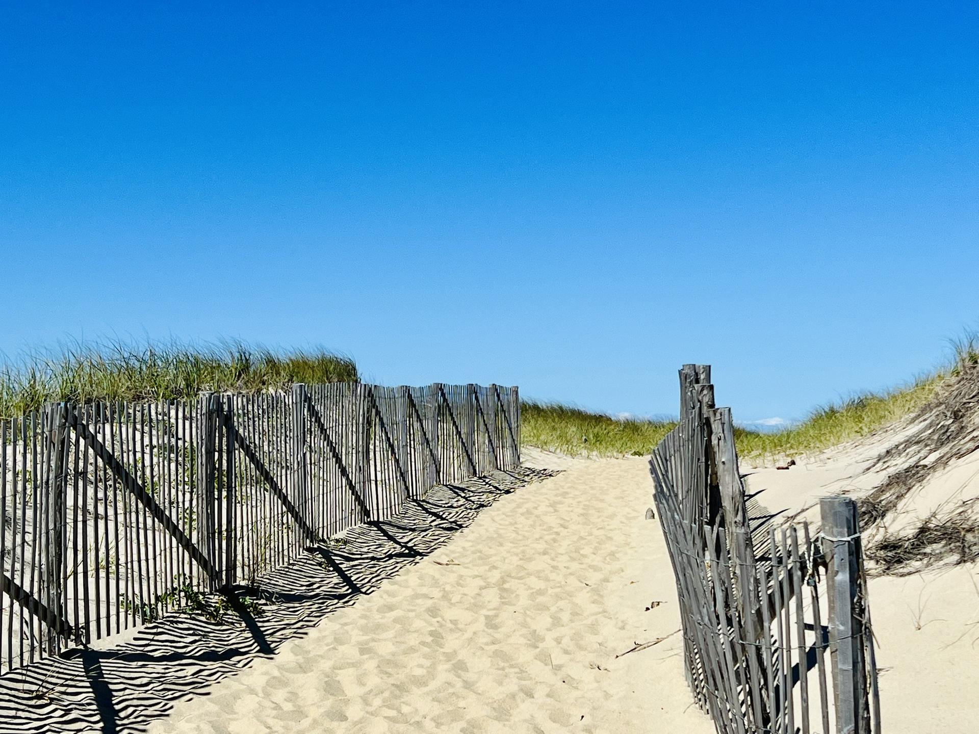Sandy path between wooden fences leading through dunes under a clear blue sky.