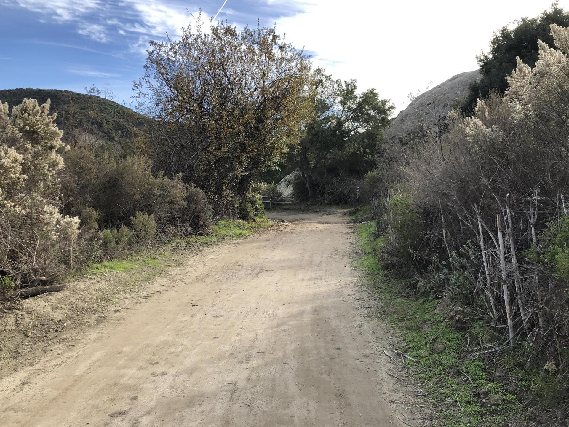 Dirt path through dense brush and trees in a valley under a bright sky.
