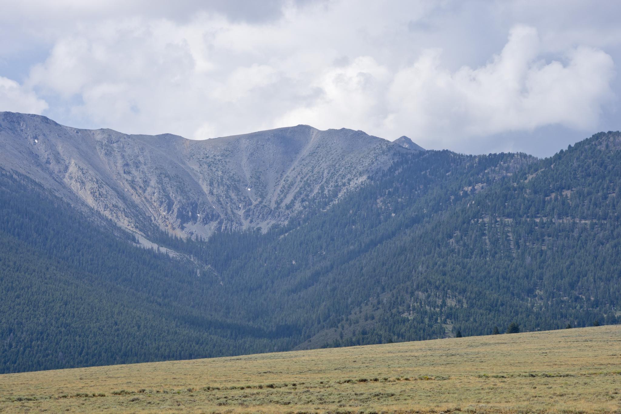 Vast forested mountains under a cloudy sky, with a golden grassy field.