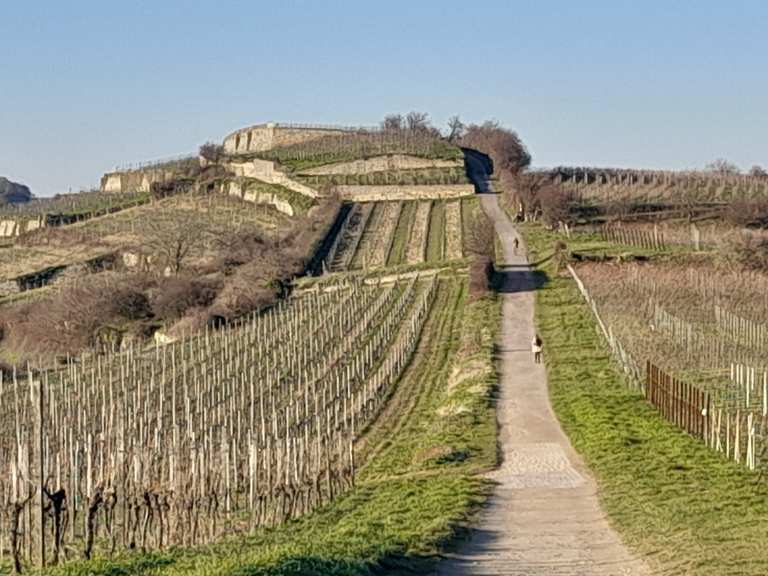 Alter Unterstand in Weinbergsmauer: Wanderungen und Rundwege | komoot