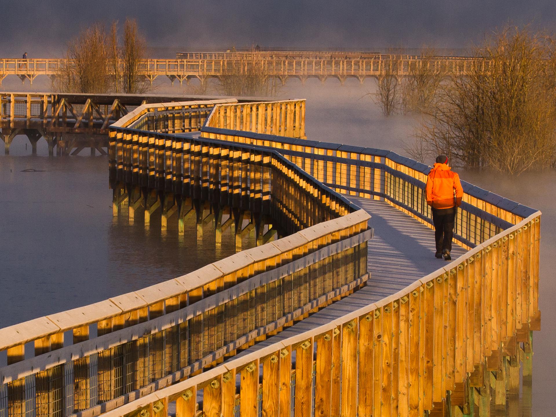 Person in orange walks on a winding wooden boardwalk over foggy water.