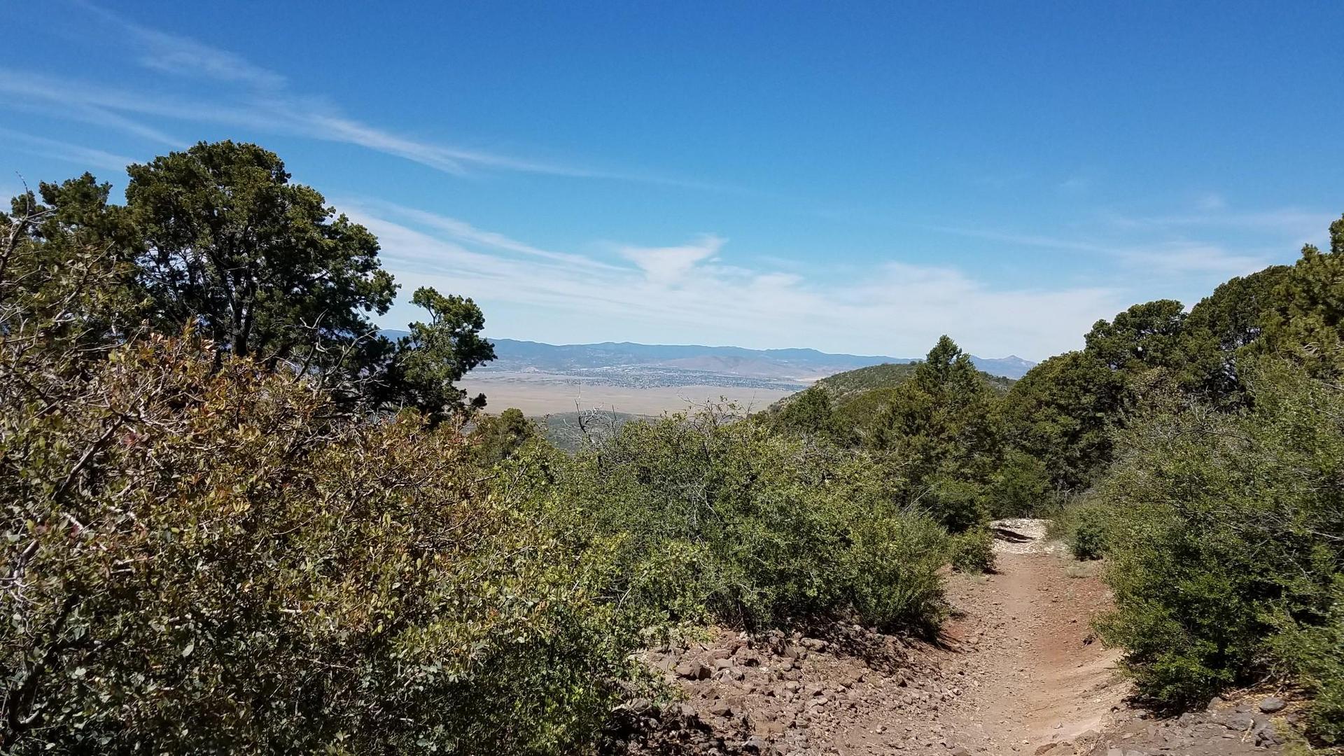 A dirt path through green trees, overlooking a distant valley under a clear sky.