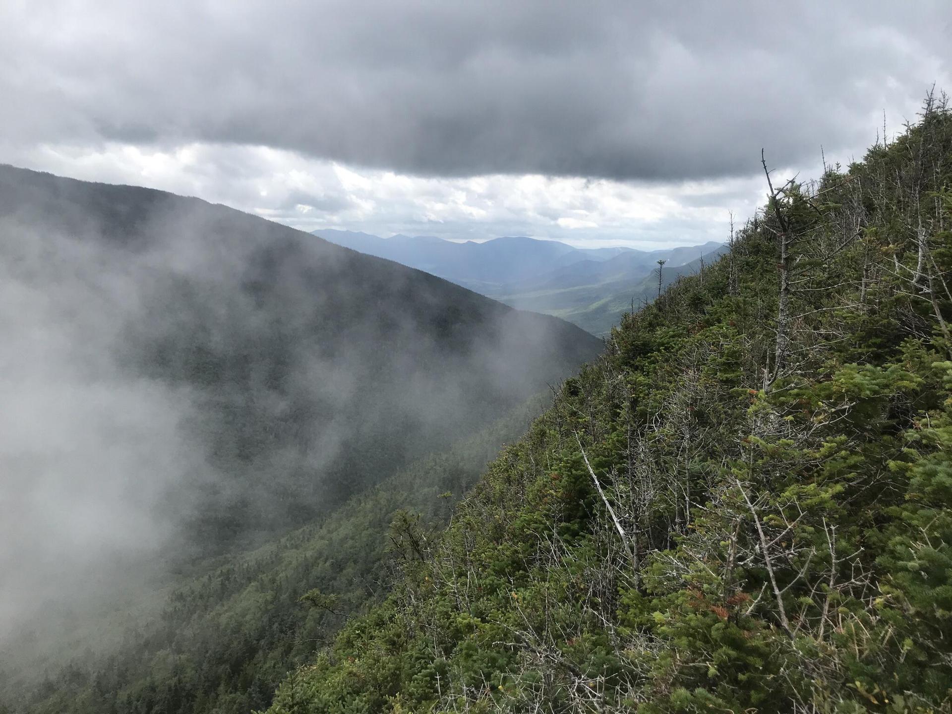 Dense fog engulfs a steep, forested mountain slope under a cloudy sky.