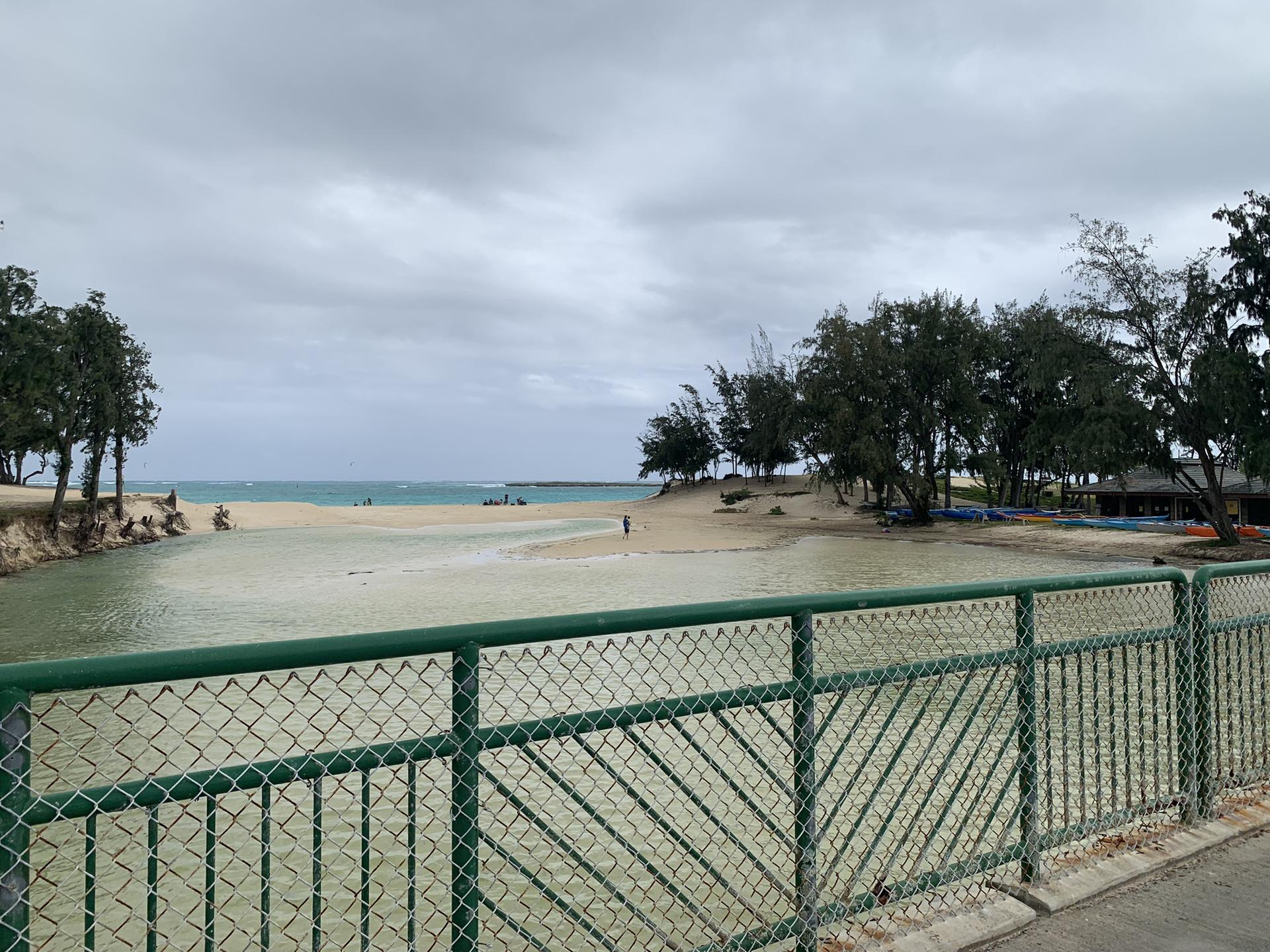 Overcast view from a green fence overlooking a murky lagoon and sandy beach.