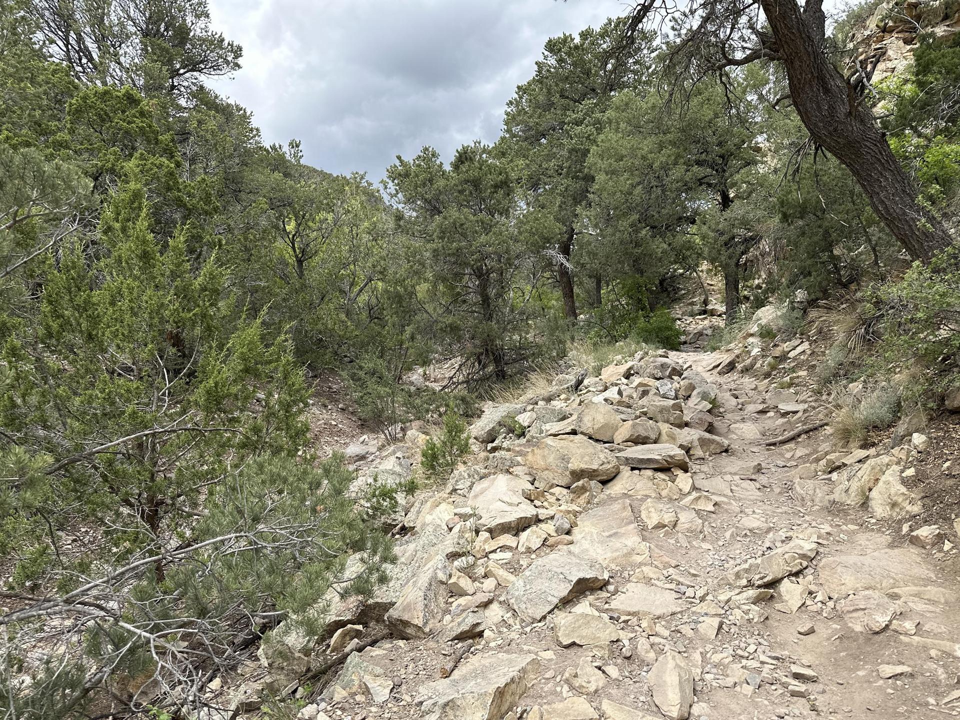 A rocky dirt trail winds through a green, forested canyon under a cloudy sky.
