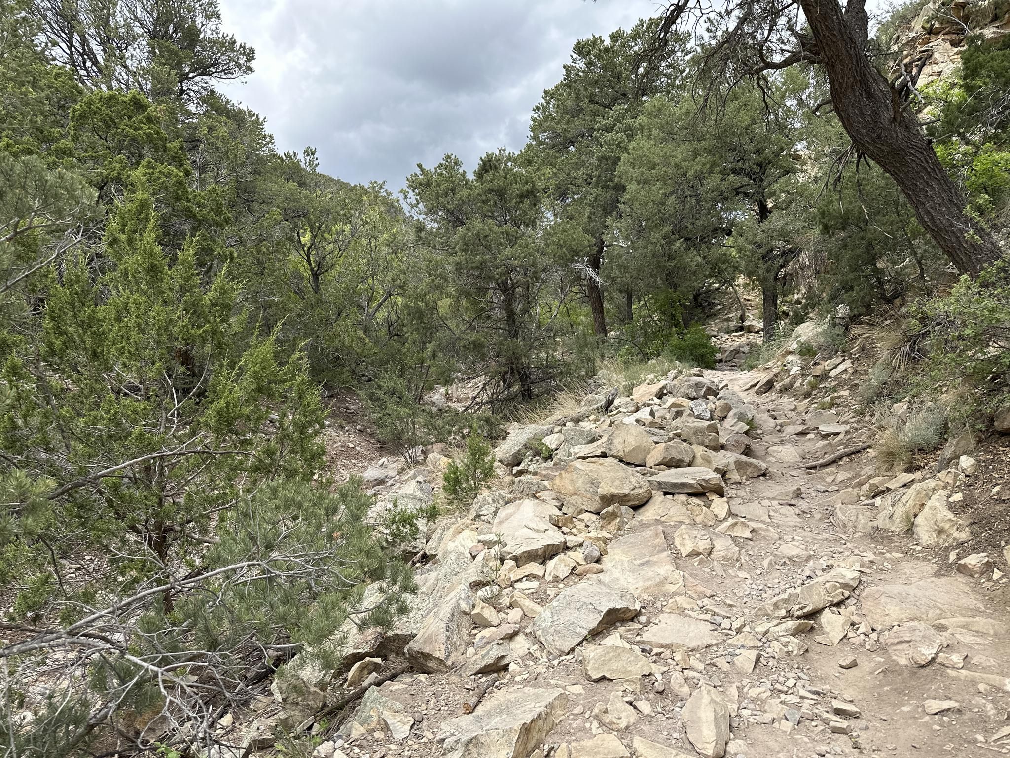 A rocky dirt trail winds through a green, forested canyon under a cloudy sky. - Carlito Springs Loop Trail