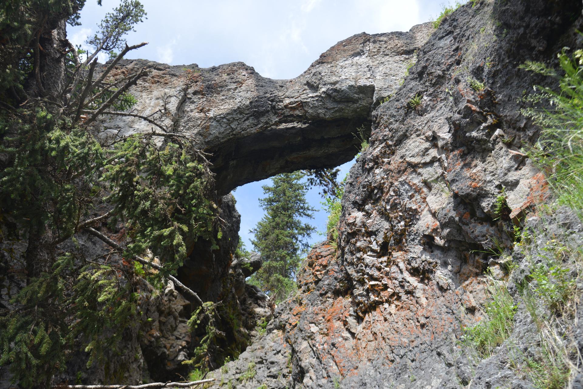 A natural rock arch frames a pine tree against a bright sky.