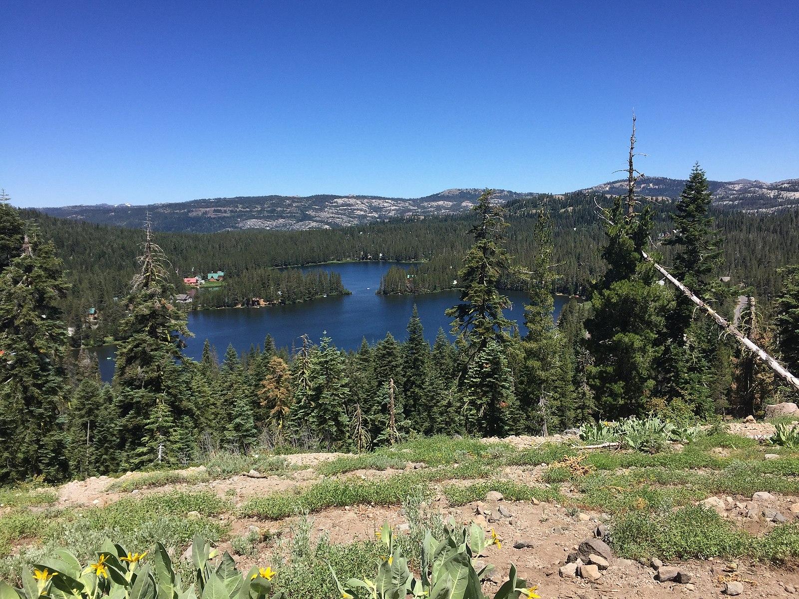 Panoramic view of a blue lake nestled in a vast green forest under clear skies.