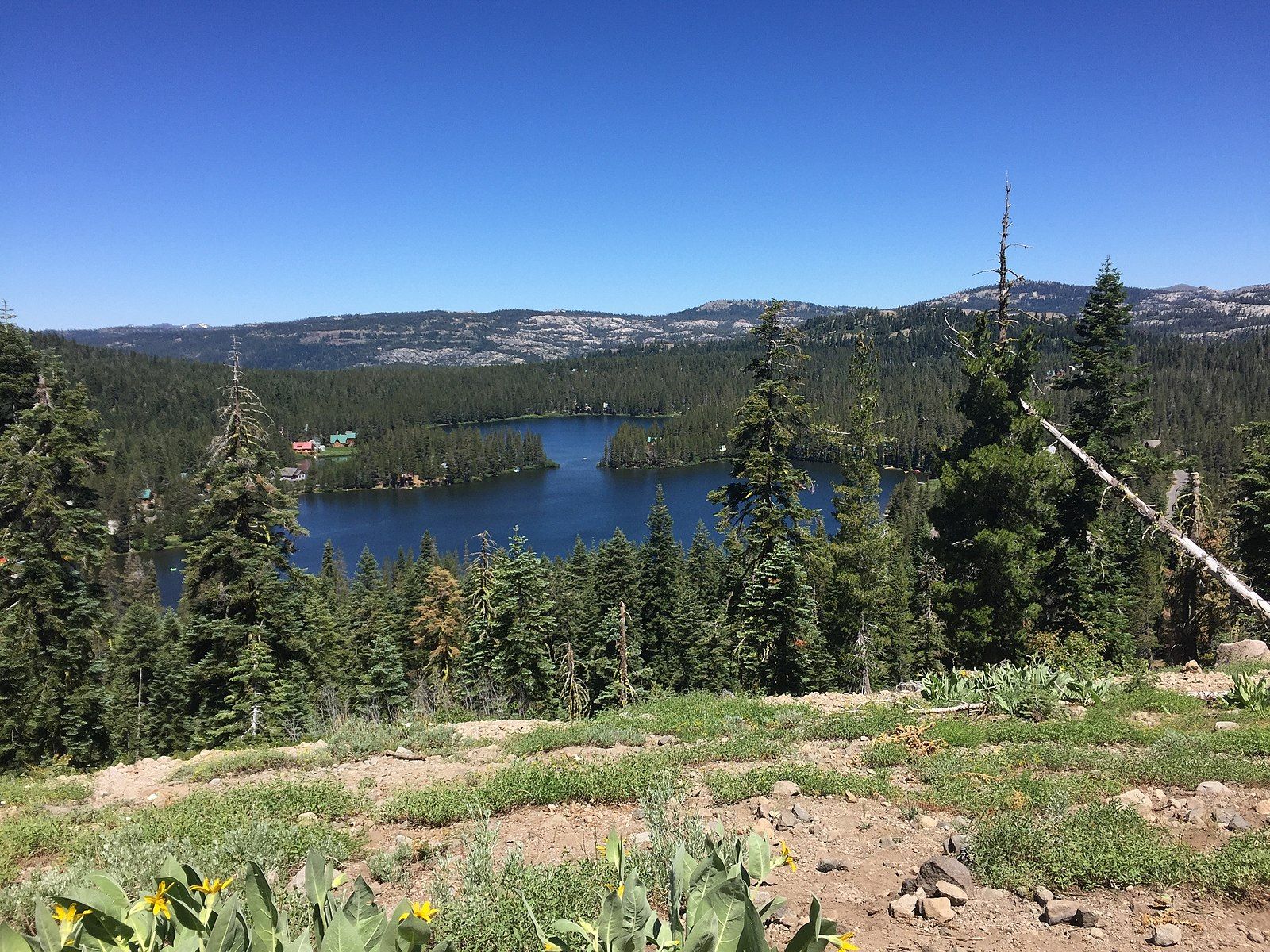Panoramic view of a blue lake nestled in a vast green forest under clear skies. - Serene Lakes loop