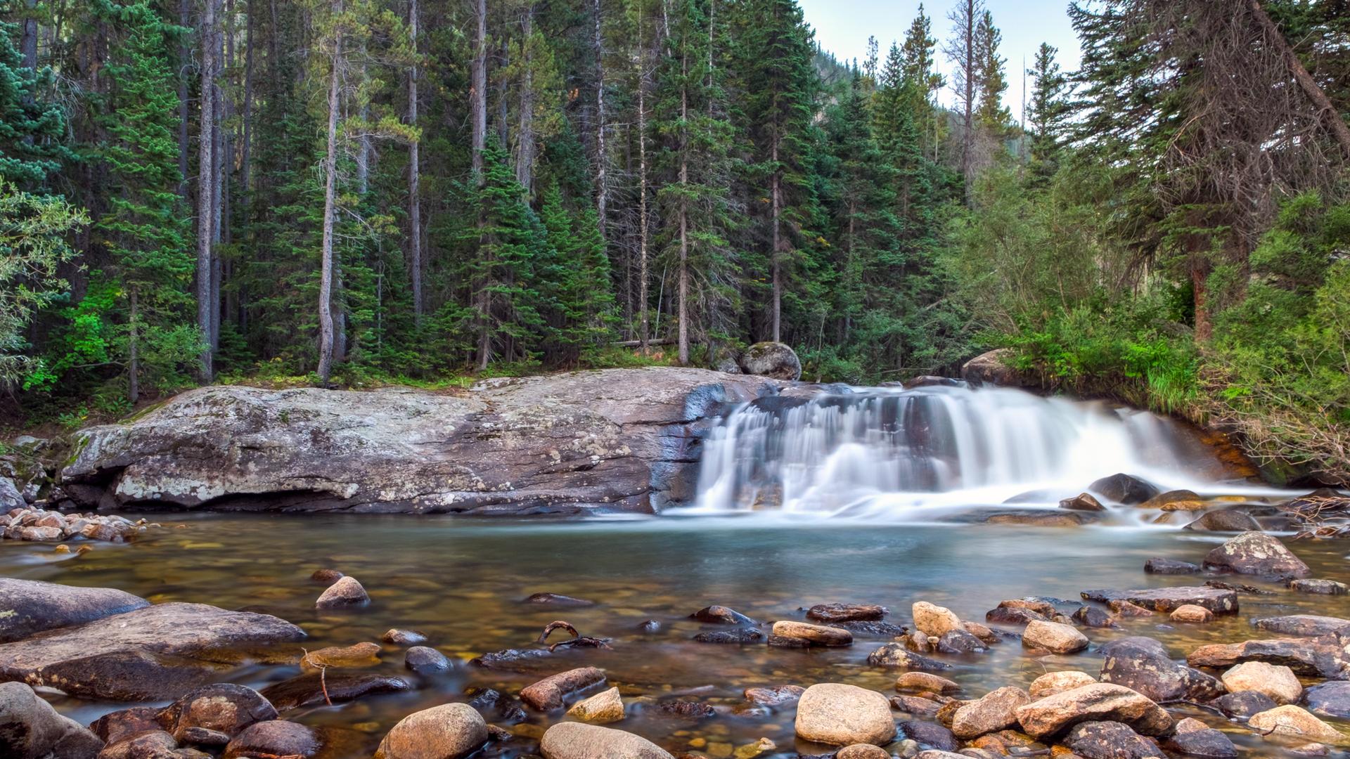 Wide waterfall cascading into a rocky river, surrounded by dense pine forest.