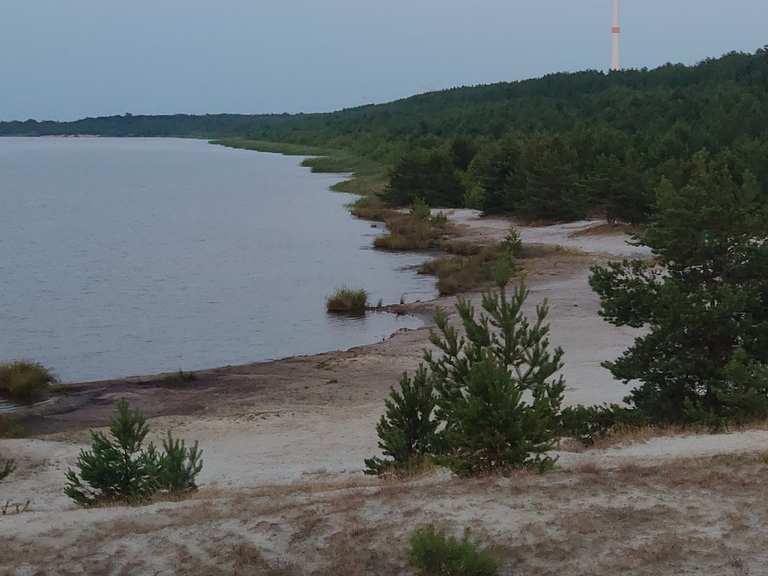 Blick auf Bischdorfer See fietsroutes en kaart Komoot