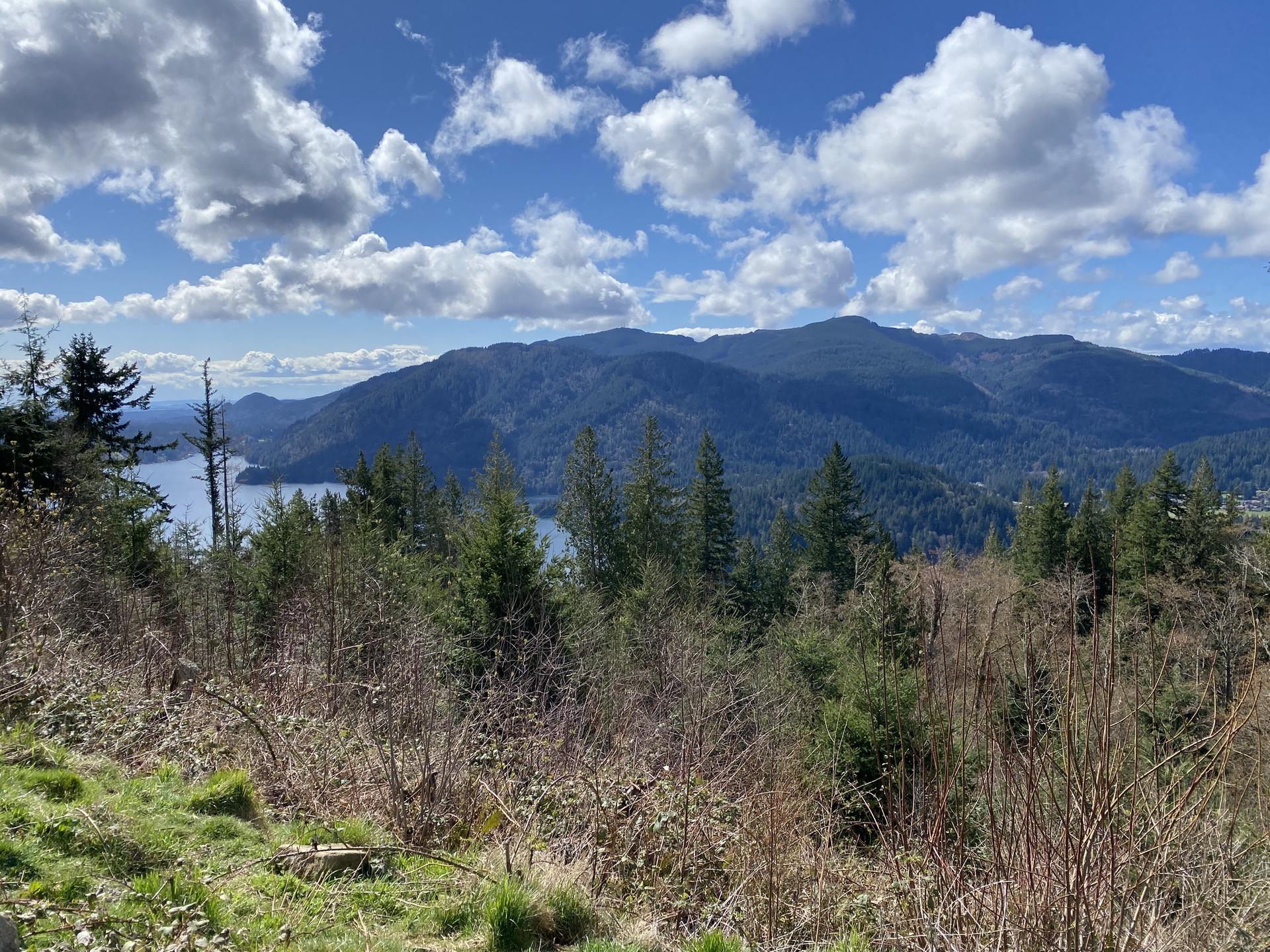 Panoramic view of forested mountains and a distant lake under a blue sky.