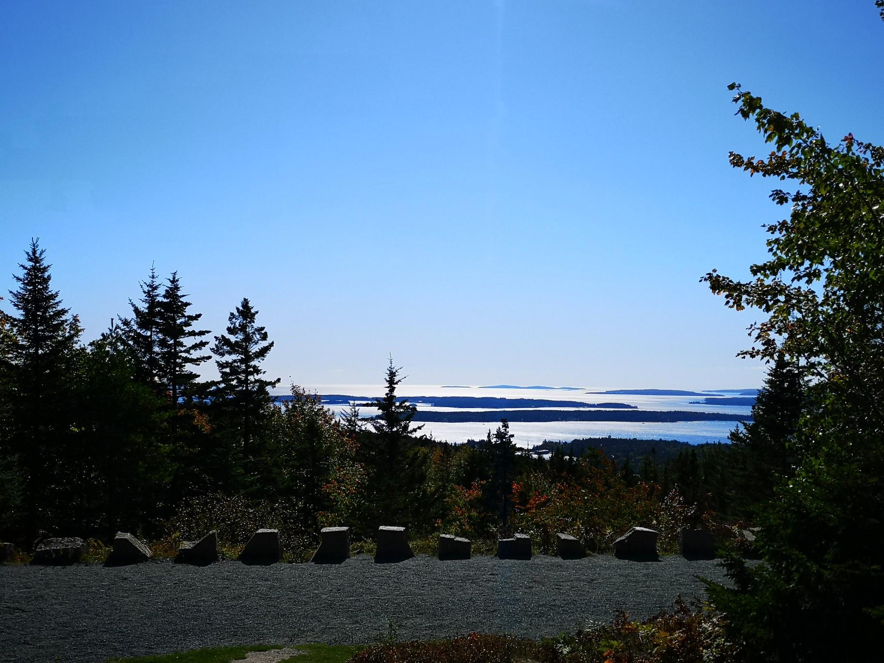 Sunny view of evergreen forest, rocky barrier, and distant water under blue sky.