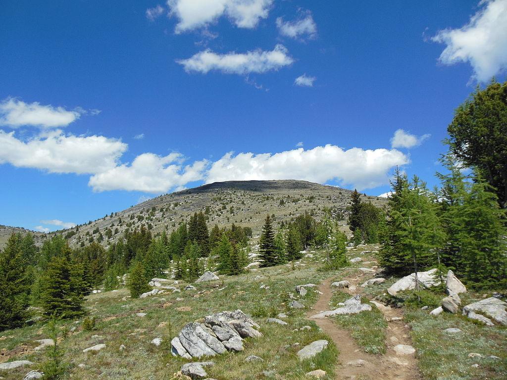 A dirt path winds through a sunny, rocky mountain landscape with scattered evergreen trees.