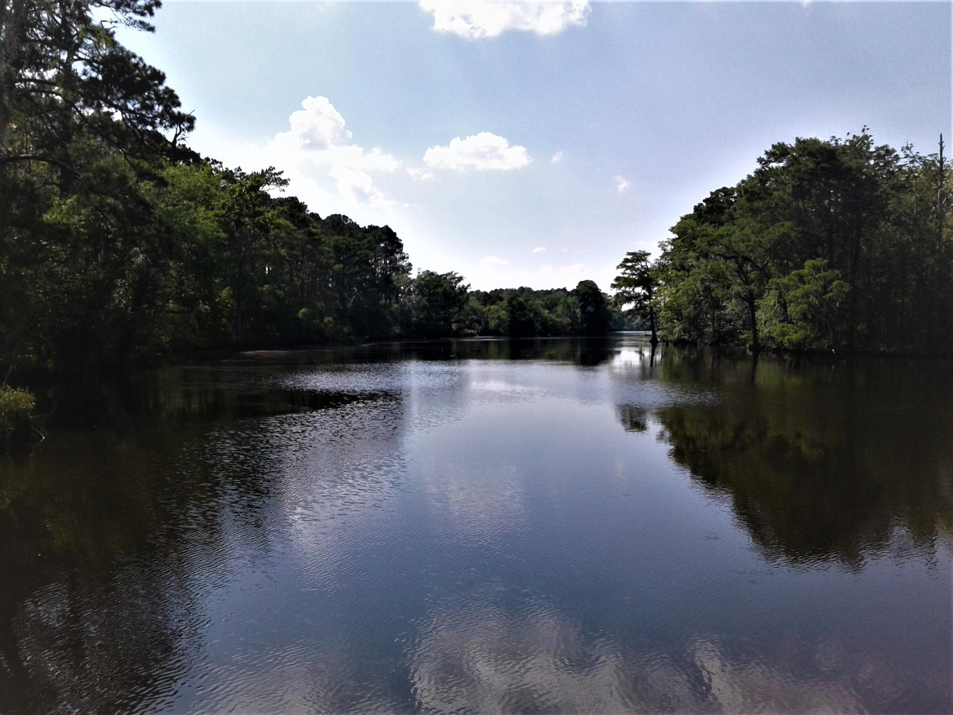 Calm lake surrounded by dense green trees under a bright, cloudy sky.