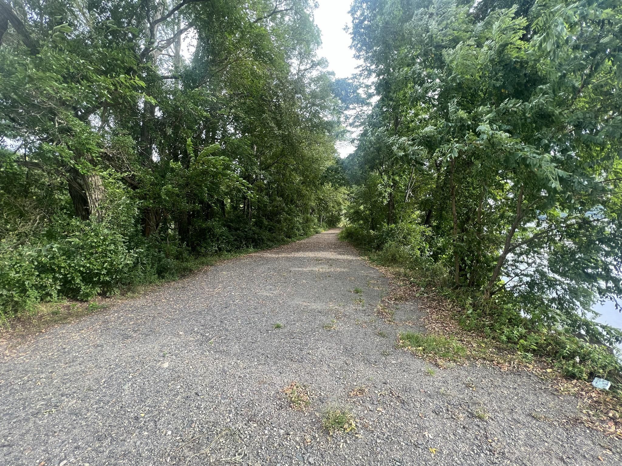 A gravel path winds through dense green trees with water on the right. - Fort Hill Recreational Rail Trail
