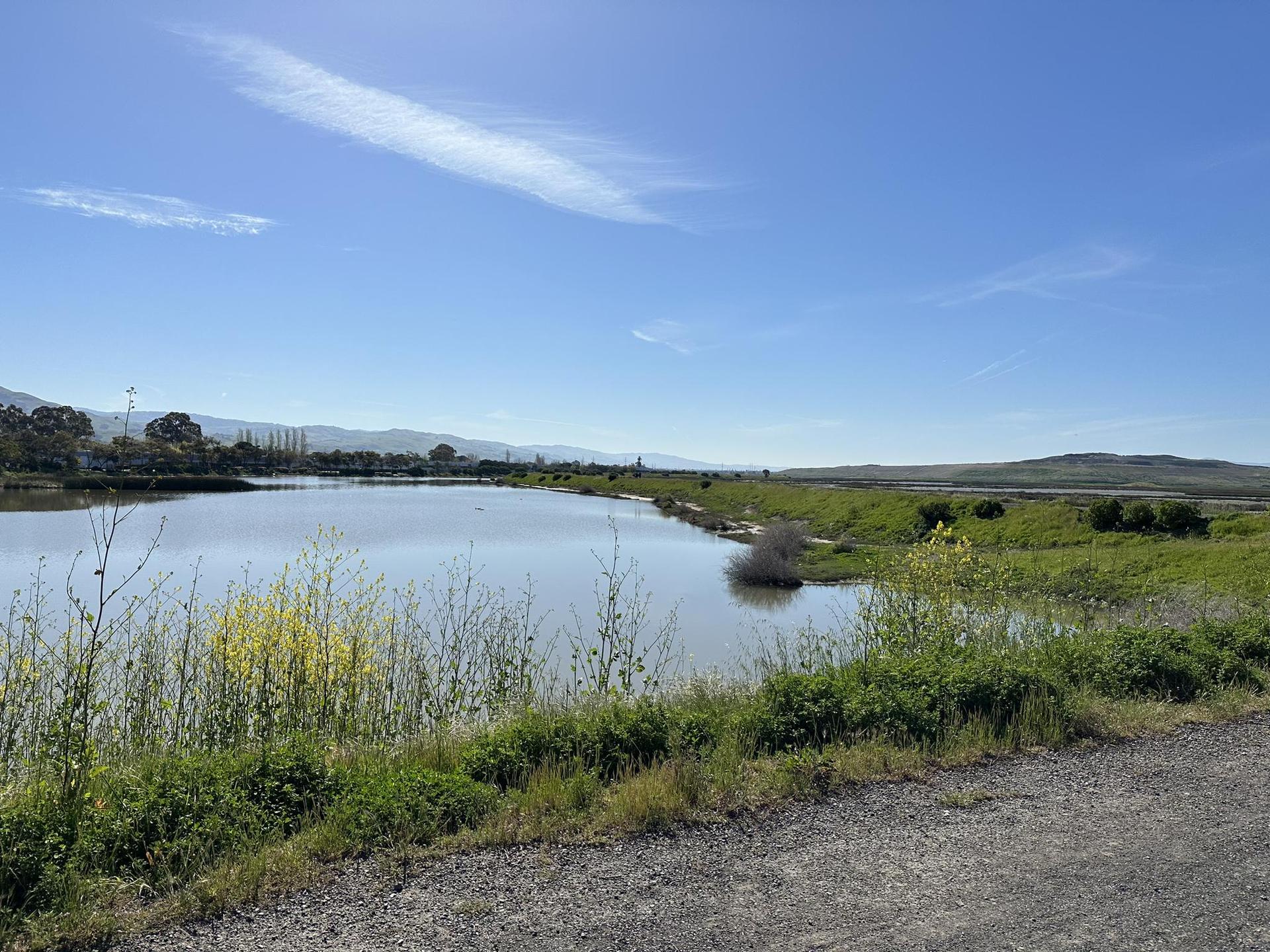 Calm water body with grassy banks under a bright blue sky.