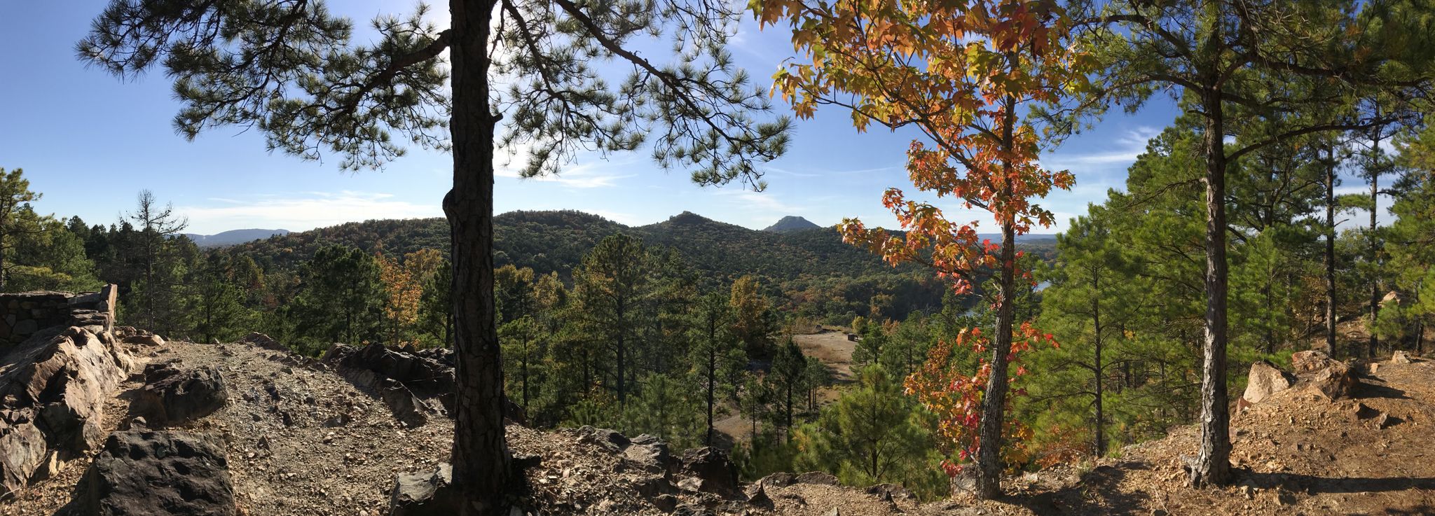 Panoramic view of a sunny, forested mountain landscape with autumn trees and rocky foreground. - Jackfork Trail