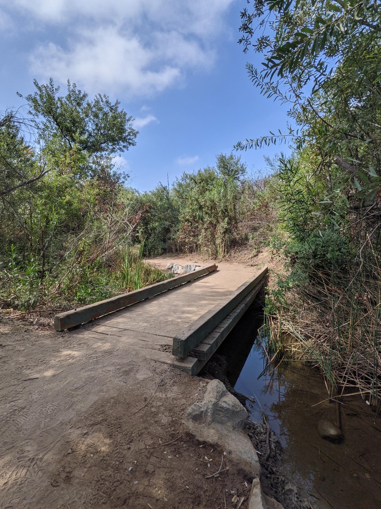 A wooden bridge crosses a small stream on a dirt path.
