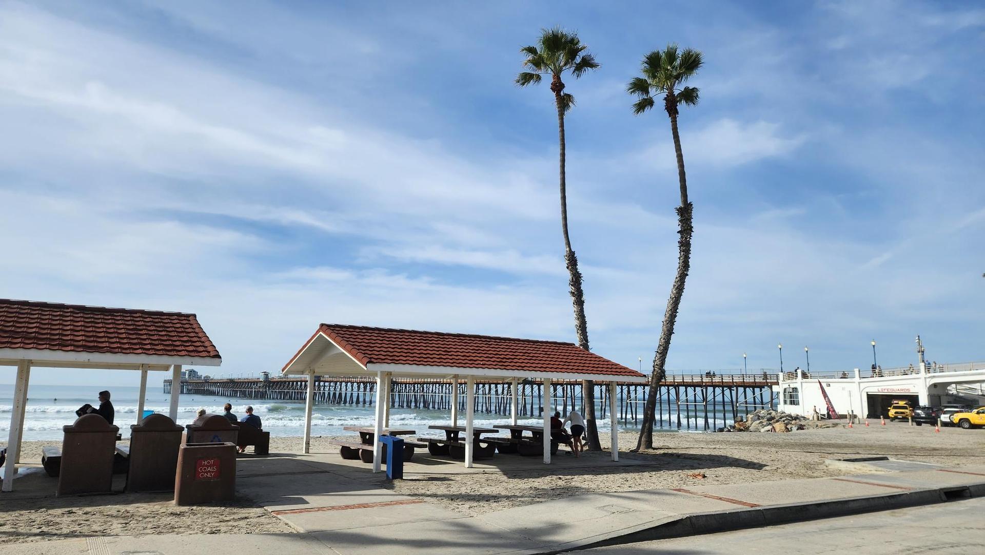 Beach with covered picnic areas, tall palm trees, and a distant pier.