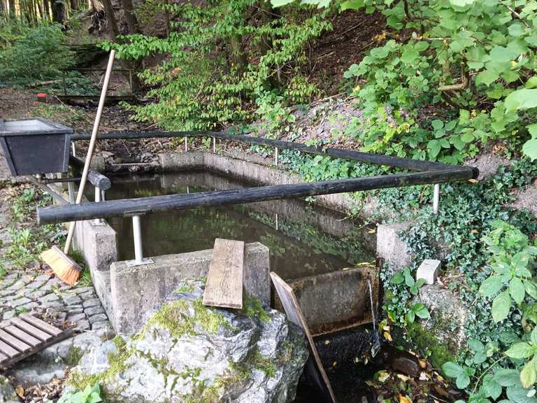 Grünberg Quelle mit Kneippanlage: Wanderungen und Rundwege | komoot