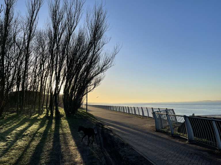 Mersey View from Liverpool Festival Garden Routes for Walking and ...