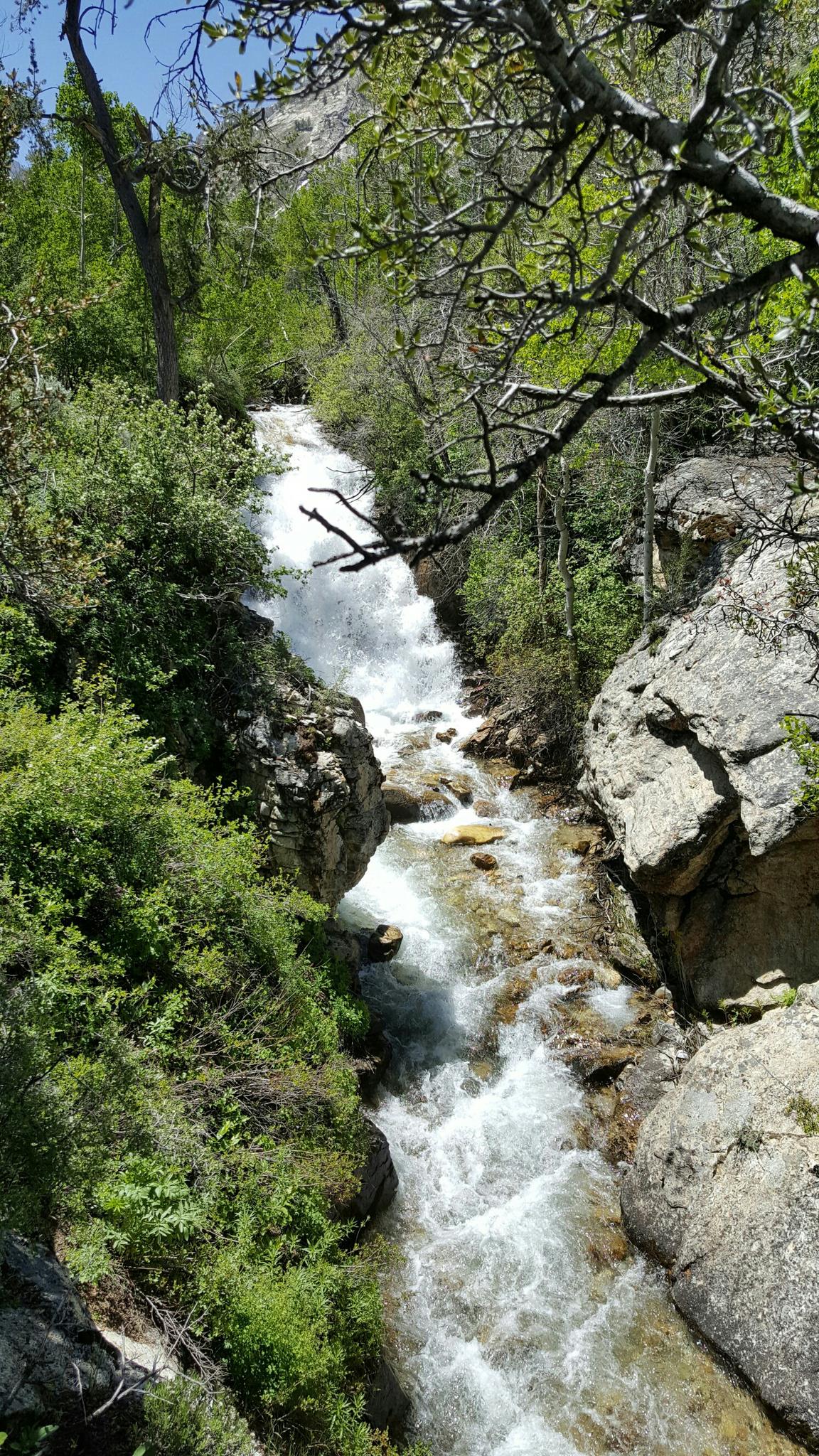 Rushing waterfall cascades down a rocky, forested gorge on a sunny day.