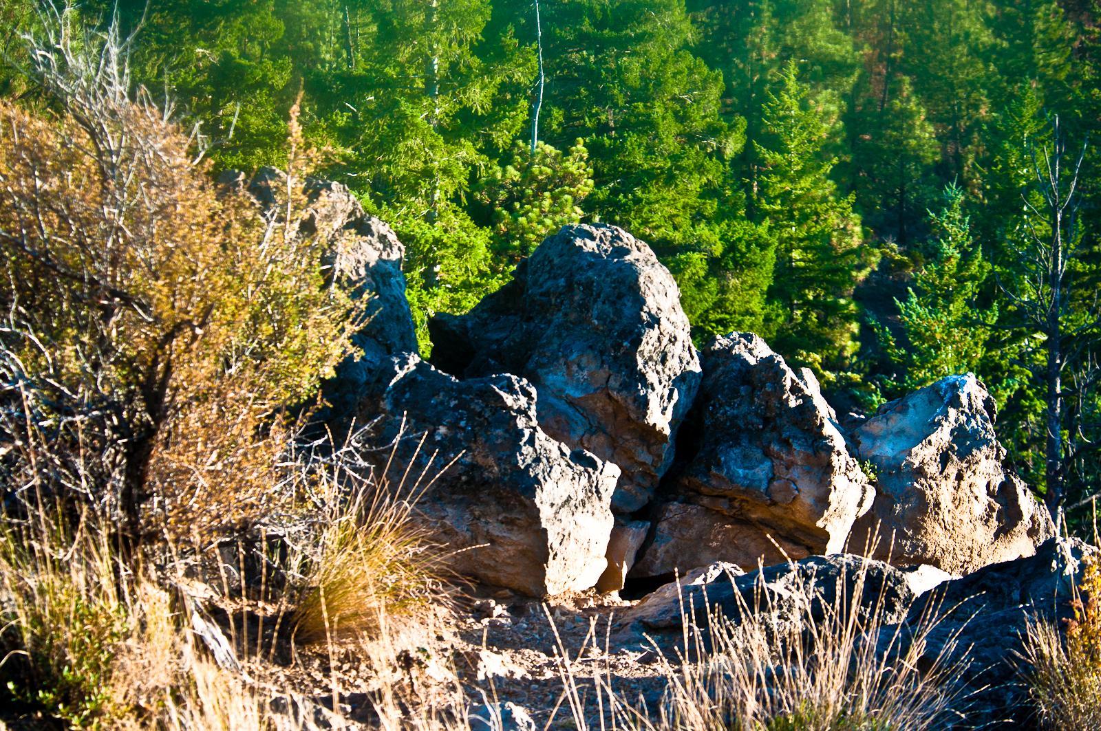 Rocky outcrop with dry grasses and green trees under bright sunlight.