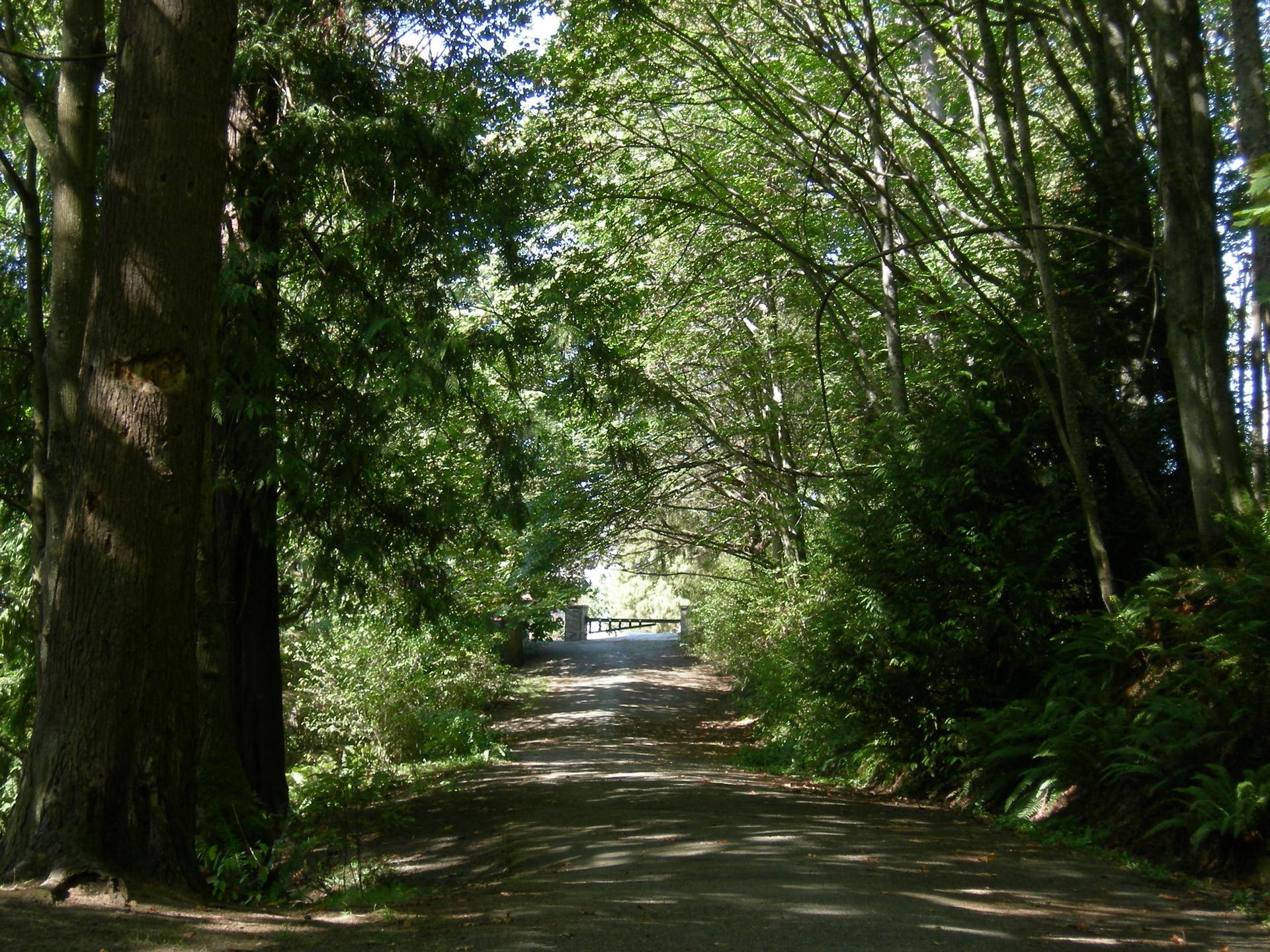 A shaded forest path with dappled sunlight leading to a bright opening.