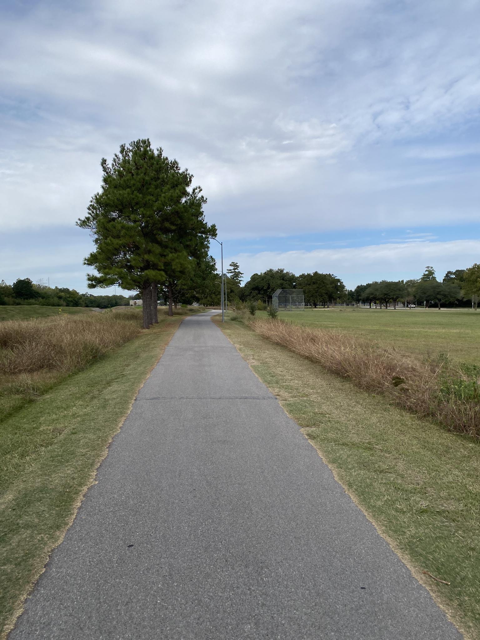 Paved path through grassy fields with a tall tree under a cloudy sky.