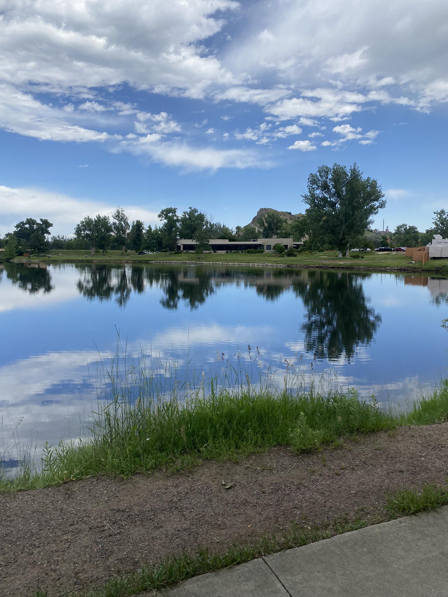 Calm pond reflecting blue sky, white clouds, and distant trees.