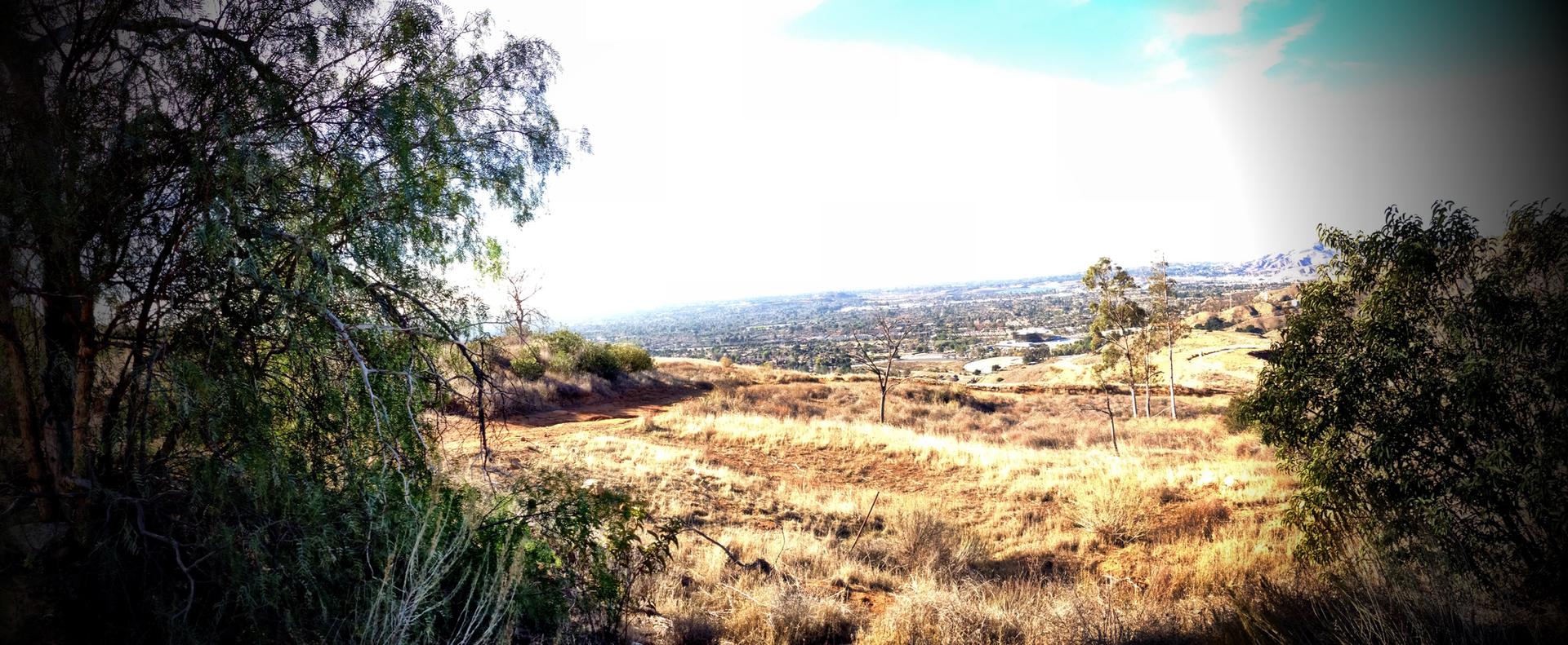 Panoramic view of a dry, golden landscape under bright, hazy daylight.