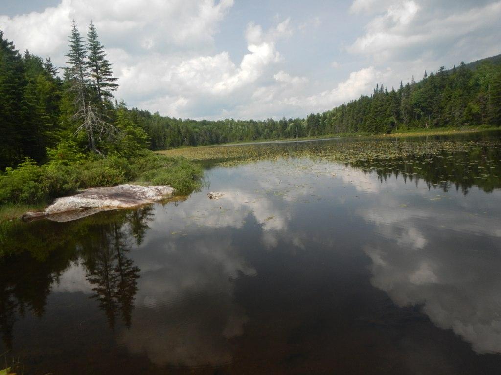 Calm lake reflecting cloudy sky, surrounded by dense green forest and lily pads.