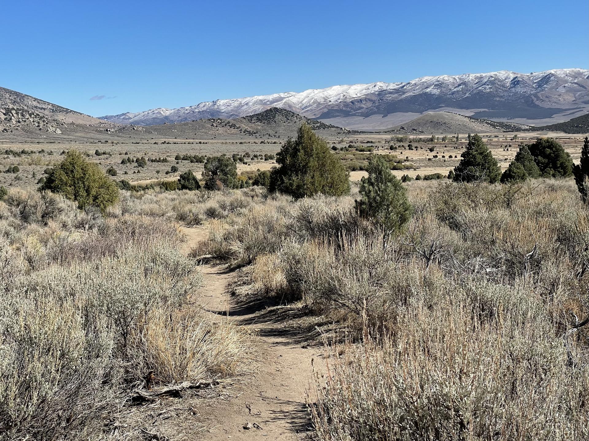 A winding dirt path through dry brush, leading to distant snow-capped mountains.