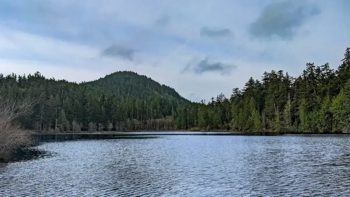 Calm lake surrounded by dense evergreen forest under an overcast sky.