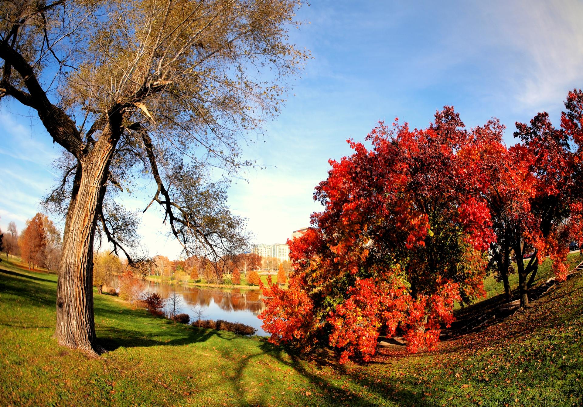 Vibrant red and orange autumn trees beside a calm lake on a sunny day.