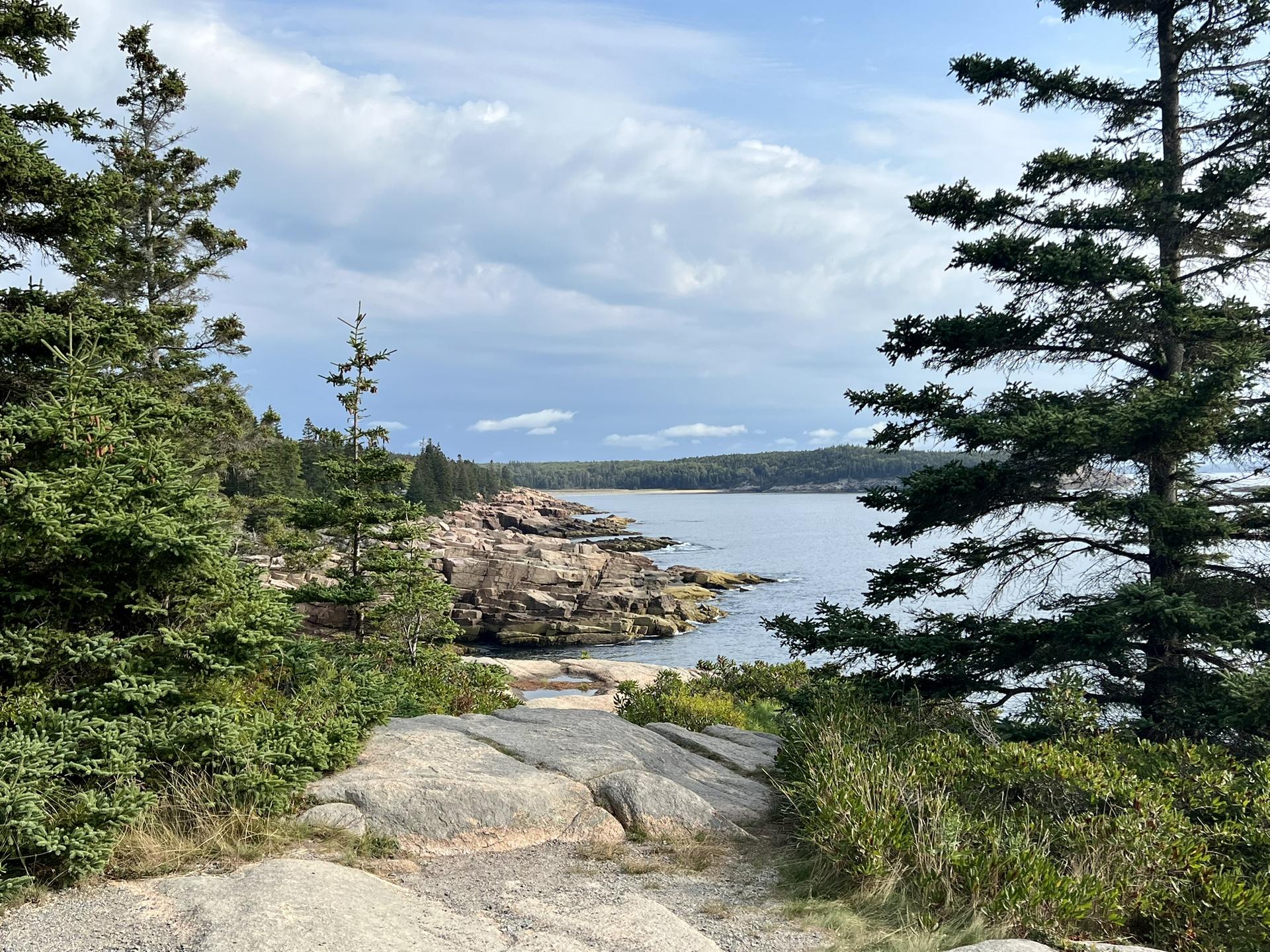 Rocky coastal path framed by pine trees, leading to a calm bay.