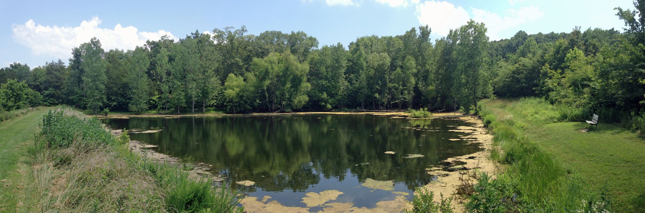Panoramic view of a calm pond surrounded by green trees and a white bench. - LaBarque Hills Trail