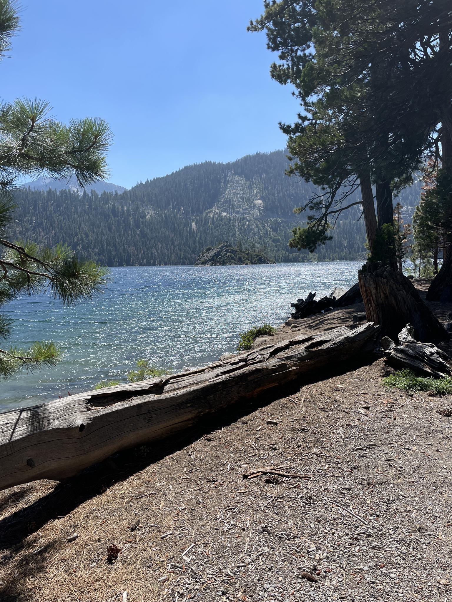 Sunny lake view with mountains, pine trees, and a large fallen log.
