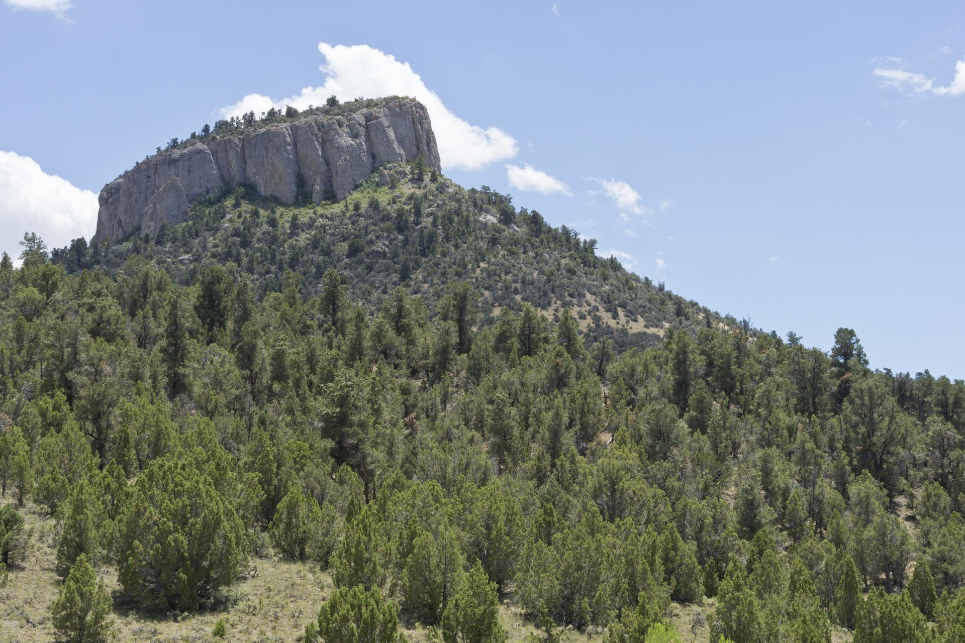 Sunny view of a flat-topped rock formation above a forested hillside.