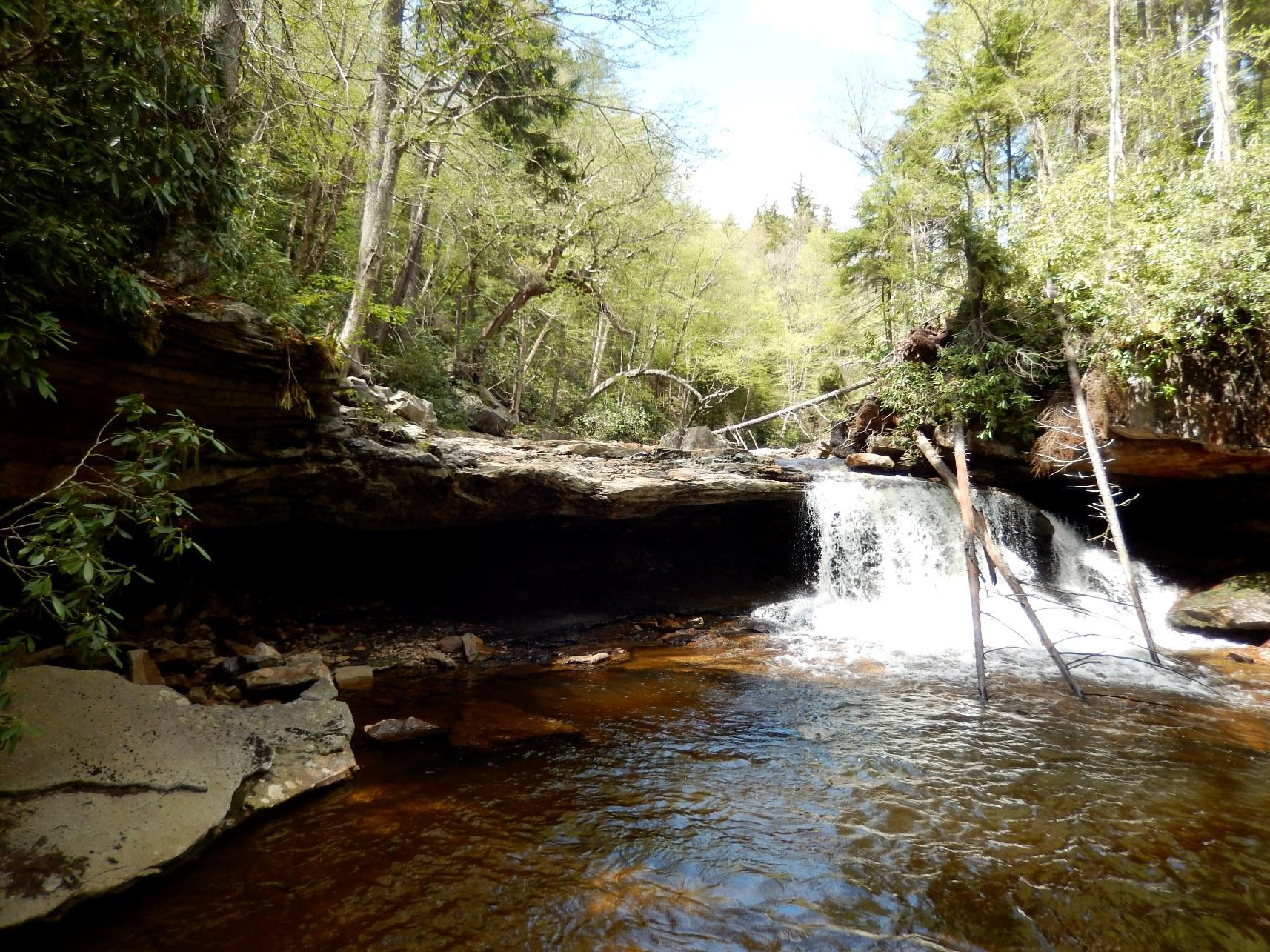A small waterfall cascades into a rocky stream, surrounded by lush forest.
