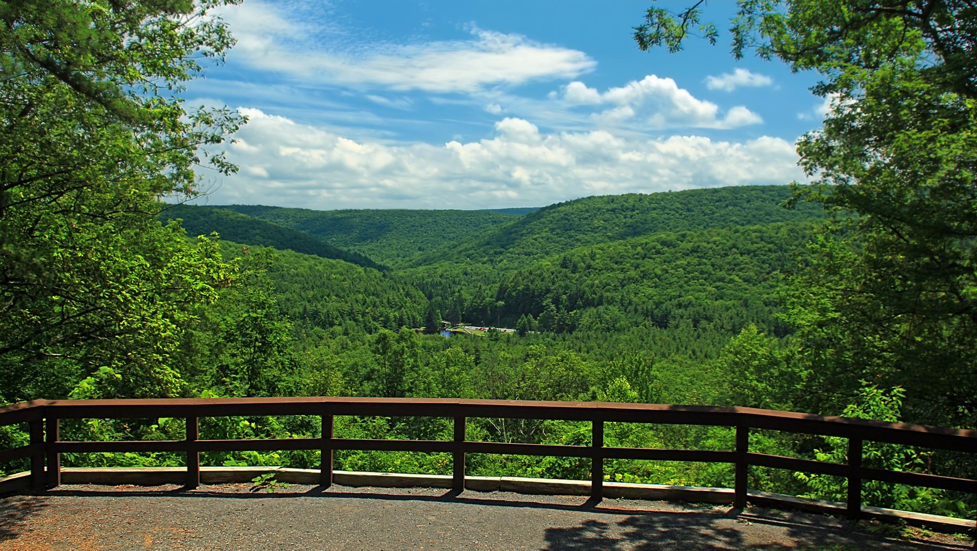 A wooden railing overlooks a vast, lush green forested valley under a blue sky.