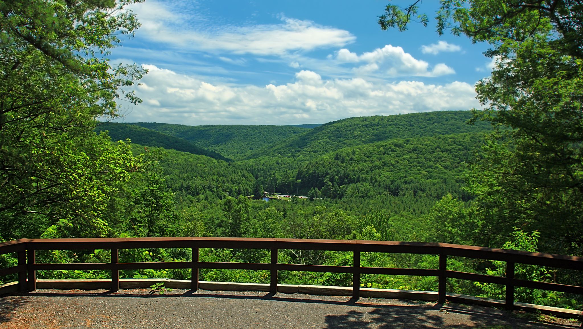 A wooden railing overlooks a vast, lush green forested valley under a blue sky. - Sand Mountain – Sand Mountain loop from R. B. Winter State Park