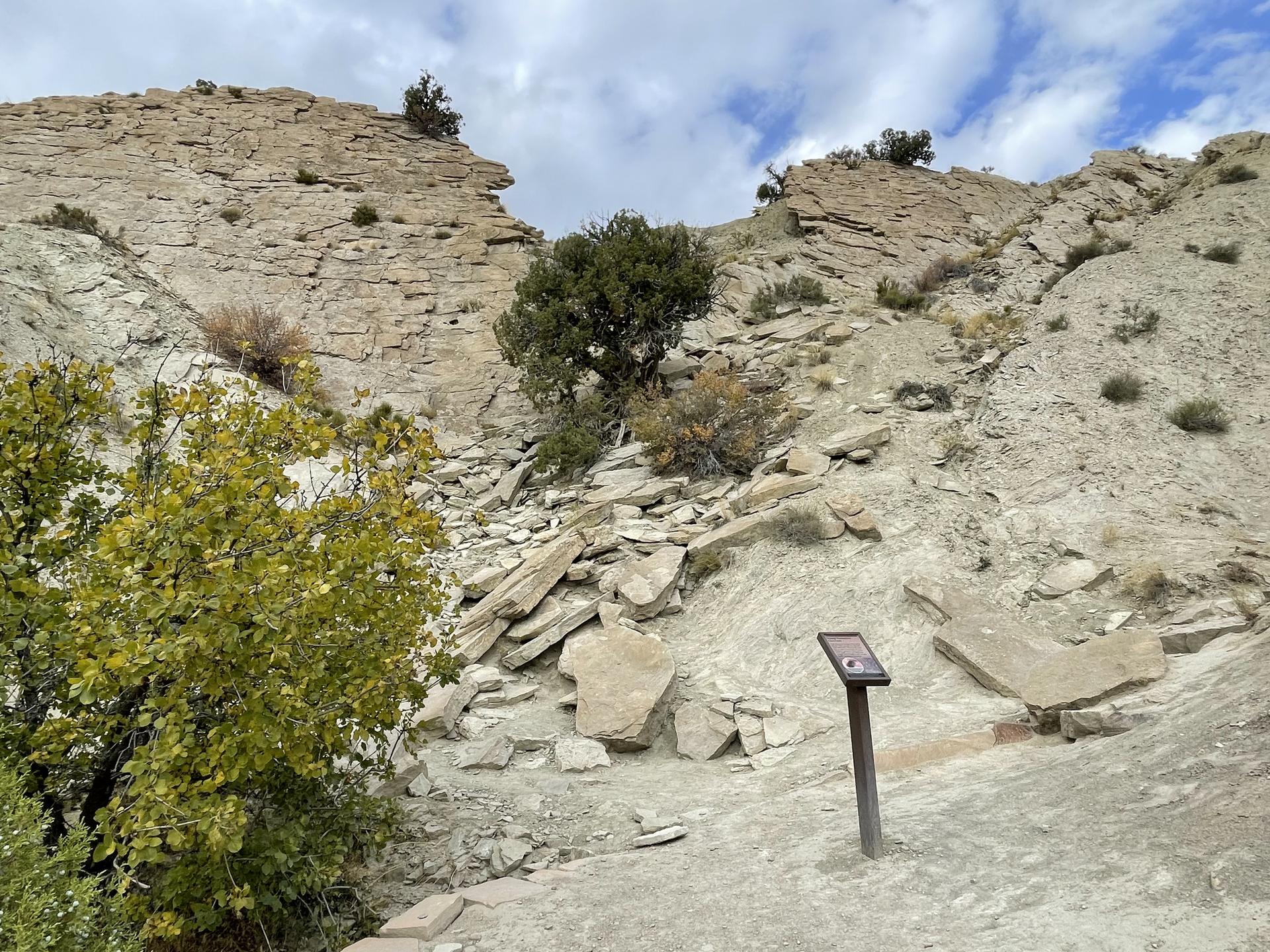 A rocky hillside with scattered trees and an interpretive sign on a path.