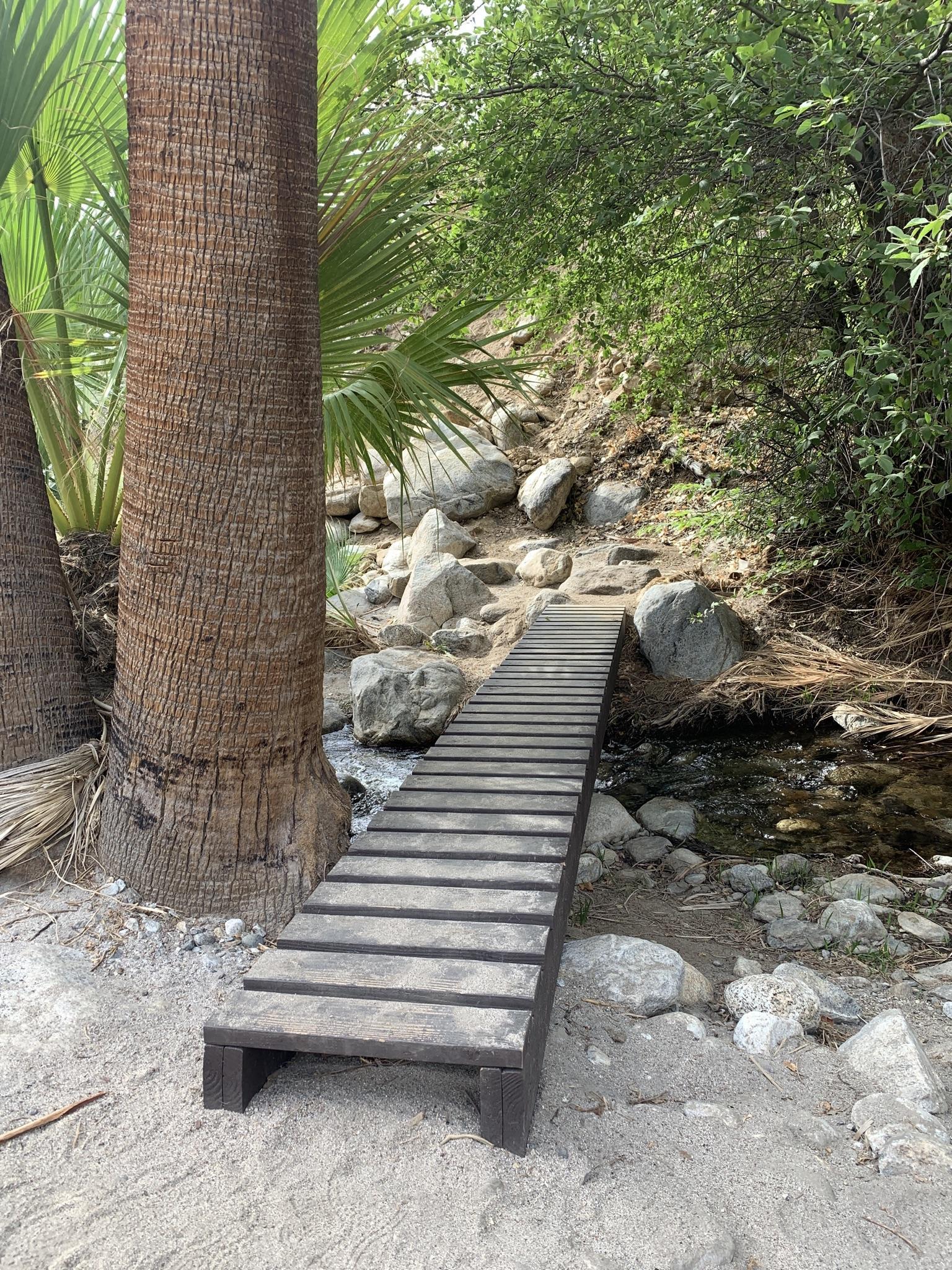 Wooden bridge over a rocky stream with palm trees and lush green foliage.