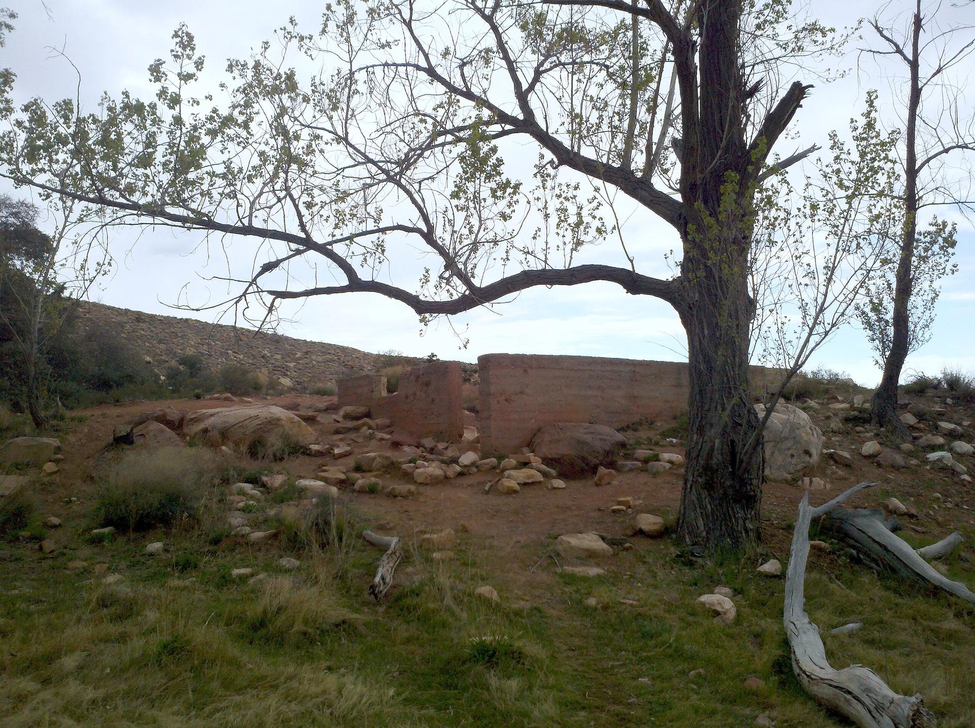 Old stone ruins and a large tree on rocky, grassy ground under a cloudy sky.