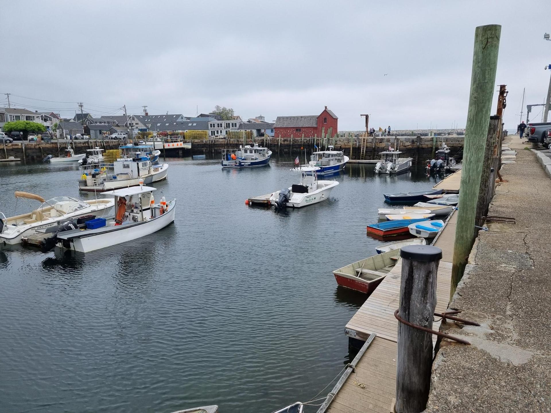 Numerous boats docked in a busy harbor under an overcast sky.