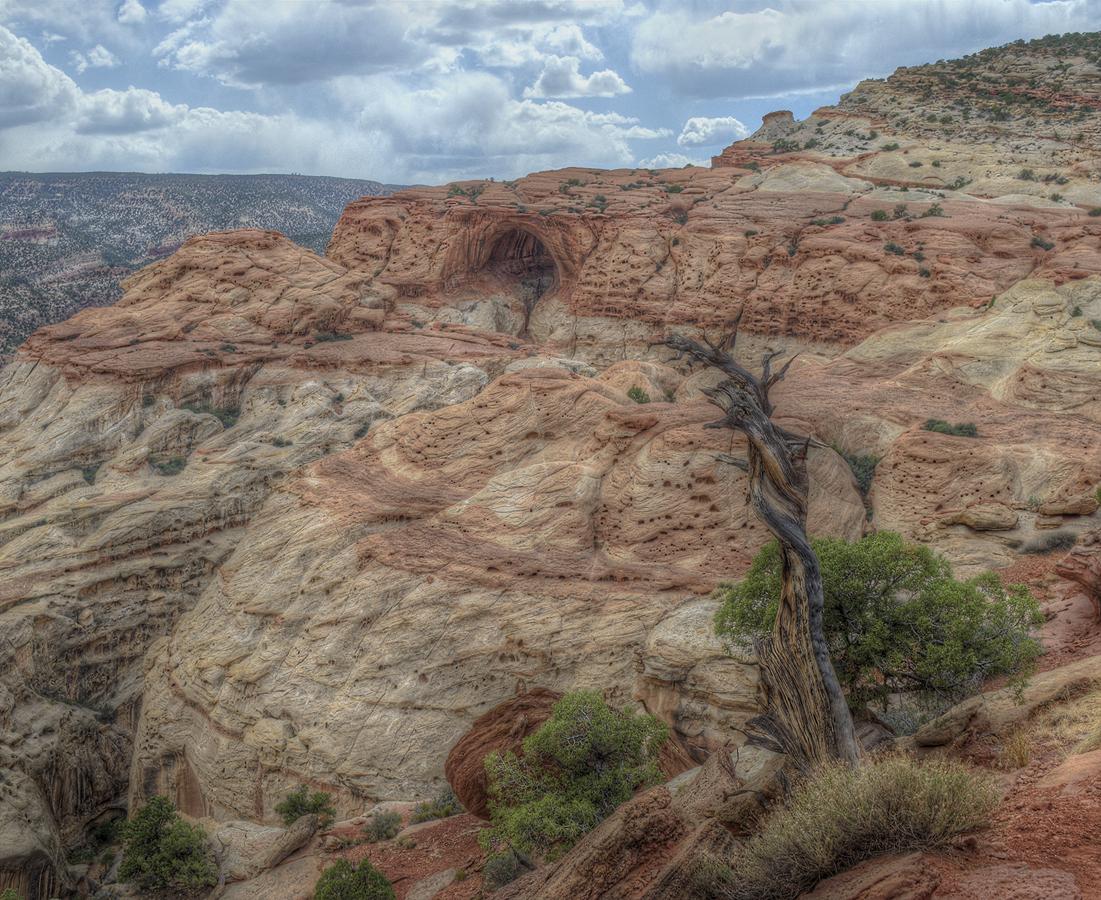 Layered rock cliff with a natural arch, dead tree, and cloudy sky.