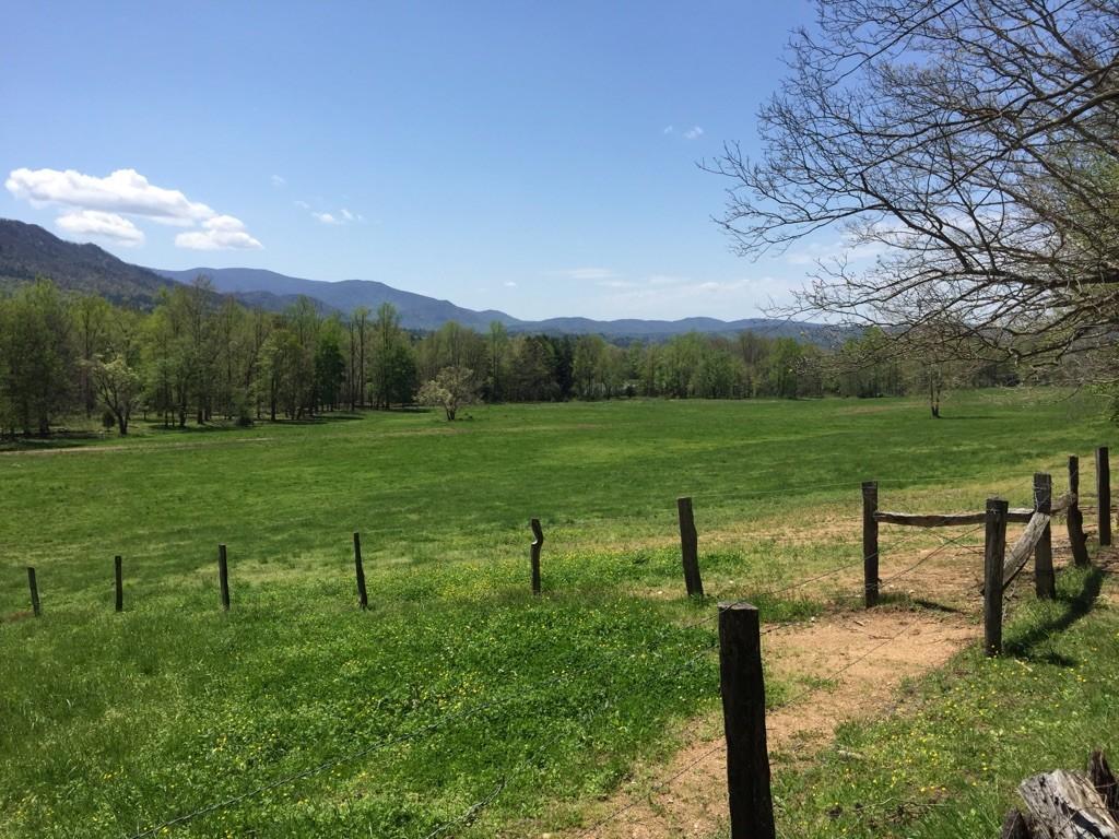A sunny green field with a wooden fence and distant mountains.